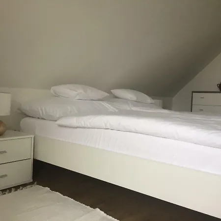 Rudasits Vendeghaz Holiday home Fertohomok