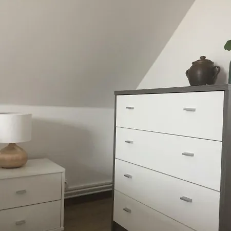 Rudasits Vendeghaz Holiday home Fertohomok